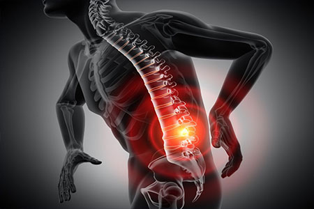 Musculoskeletal in Edmonton